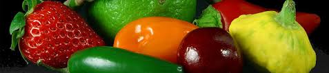 nutriology