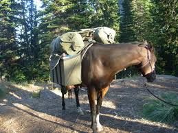 pack-horse