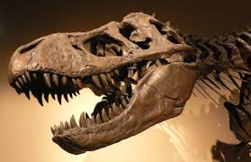 paleontological