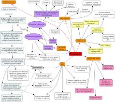 pathophysiology