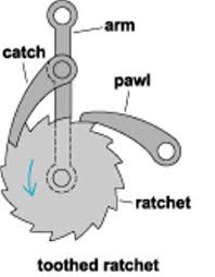 pawl