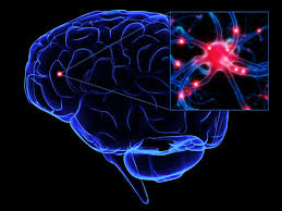 plasticity