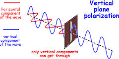 polarisation
