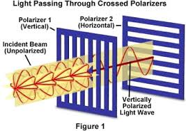 polarization