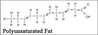 polyunsaturated