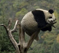 precariously