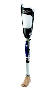 prothesis