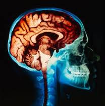 psychopharmacology