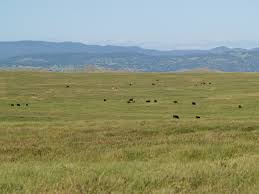 rangeland