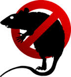 rat-poison