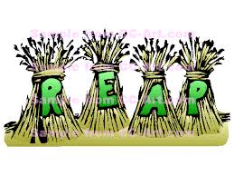 reap