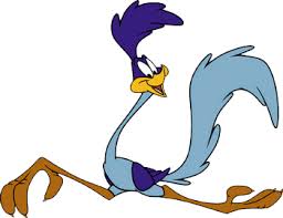road-runner