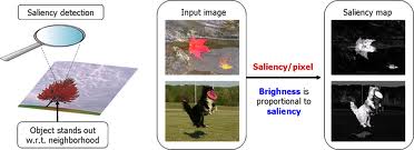 saliency