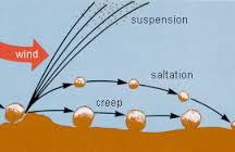 saltation