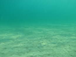 sea-floor