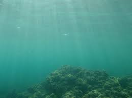 seafloor