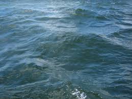 seawater