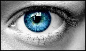 seeing