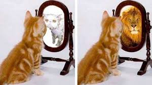 self-perception