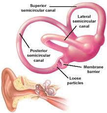 semicircular