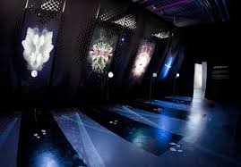 sensorium