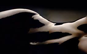 sensuality