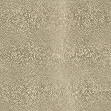 shagreen