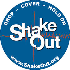 shakeout