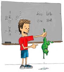 show-and-tell