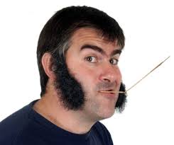 sideburns