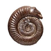 snakestone