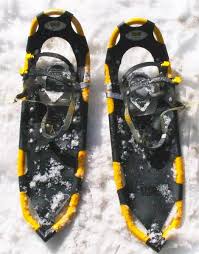 snow-shoe