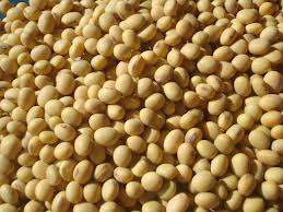 soya