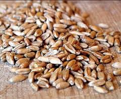 spelt