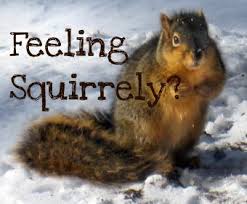 squirrely