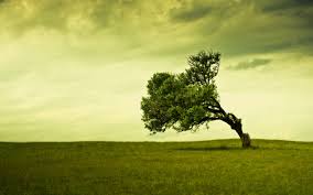 stand-alone