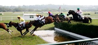 steeplechase