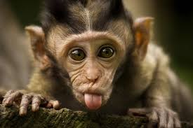 aback
