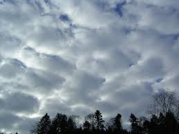 strato-cumulus