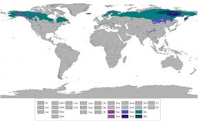 sub-arctic
