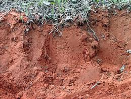 subsoil