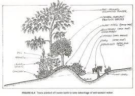 swale