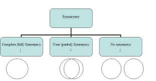 synonymy