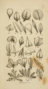 systematical