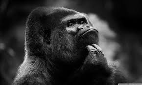 thoughtful