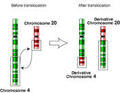 translocation