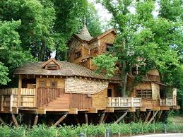 tree-house