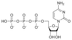 triphosphate