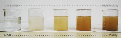turbidity