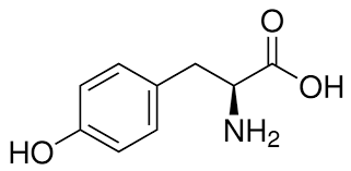 tyrosine